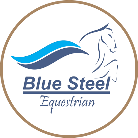 Horse Bridle for Sale